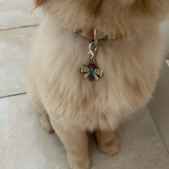 🦋Pet collar charm - Picture 3 of 8